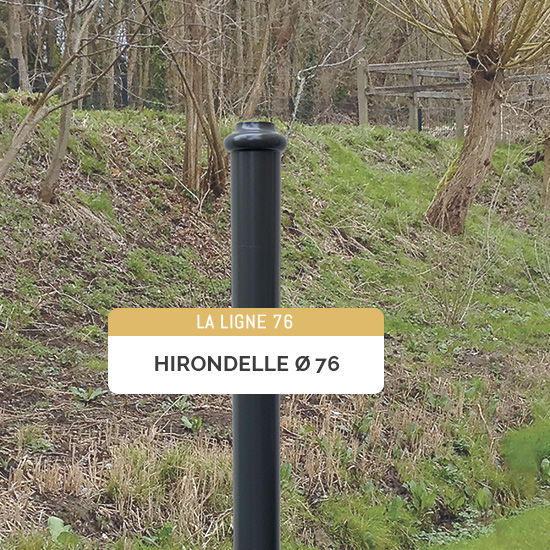 hirondelle_76_2021