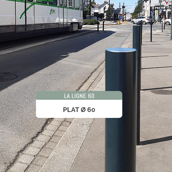 plat_60_2021