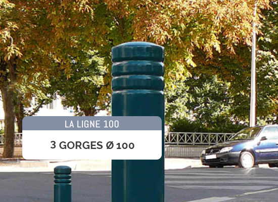 3GORGRES-100-2021
