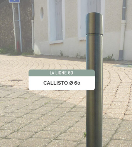 SLIDER-CALLISTO-2026